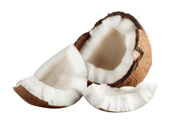 Fresh coconut sliced pieces showcase