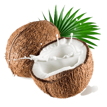Fresh coconut hero image